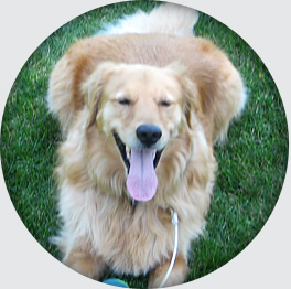 Cooper